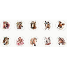 "Horse" Themed Stickers 